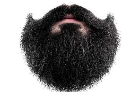 Realistic full black beard and moustache with lips, detailed hair, facial hair, grooming, style, fashion, man, male, isolated on transparent background