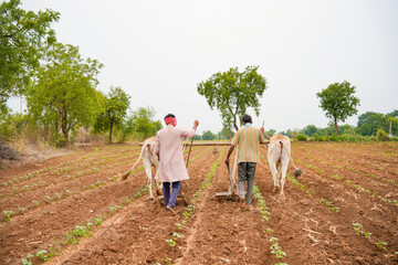indian farmer working with bull in the field