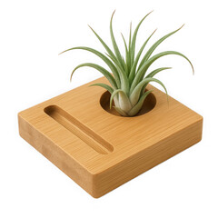 Flat Wooden Phone Stand with Small Potted Plant for Desk Decor
