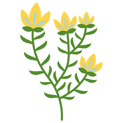 Organic Floral Element