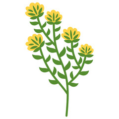 Organic Floral Element