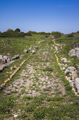 Exploring the Ancient Akrai Roman Road in the Lush Landscapes of Sicily, Italy