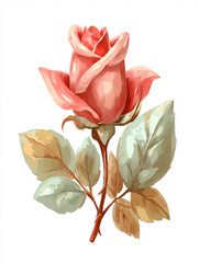 Beautiful roses, bouquet, flowers, beauty, roses	