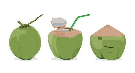 Vector illustration of three fresh young coconuts in different styles whole, cut open with straw, and peeled. Perfect for tropical drink, summer concept, exotic fruit, and healthy lifestyle themes.