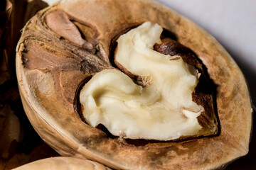 walnut shells. strong love. vegetarian food.