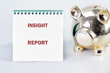INSIGHT REPORT concept phrase. Business concept. A place to copy. Operations and performance...