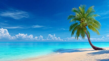 Obraz premium Tropical beach scenery with a summer palm tree and a vivid blue shoreline background