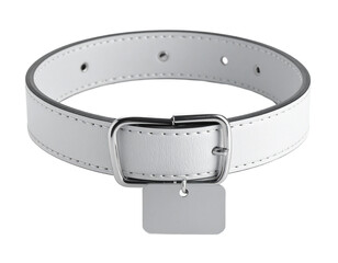 Light grey adjustable pet collar with metallic tag, offering modern design and comfort for pets.