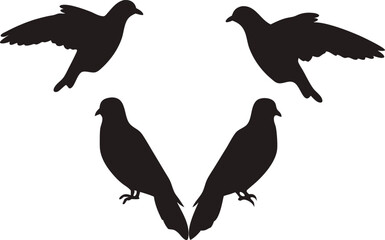 Bird silhouette, wildlife, flying bird silhouette
