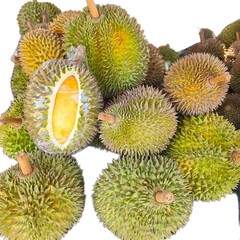 durian isolated on white background