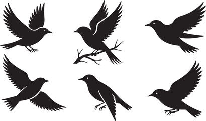 Naklejka premium Set of bird silhouettes including eagle and crow in black vector style on white background