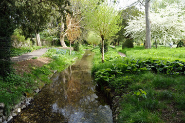 Peaceful stream flowing through vibrant spring garden with fresh greenery and blooming trees