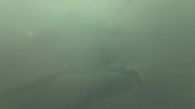 Underwater River Murky Water Slow Motion x2 Filmed at 60fps
