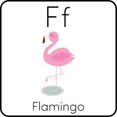 F for Flamingo