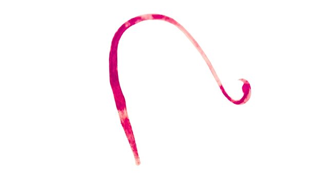 Kolbasa fotosurati 18 Kolbasa fotosurati 18