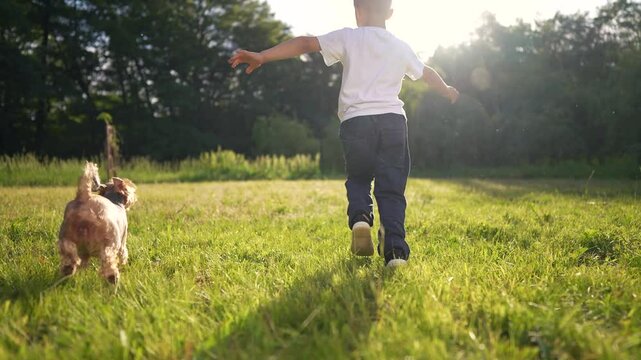 Boy running with his dog. Boy running in the sunshine with dog. A young girl in a forest in the summer with a playful motion outdoors. A young boy sprinting alongside his dog lifestyle.