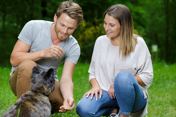 couple with dog having a picnic in a park