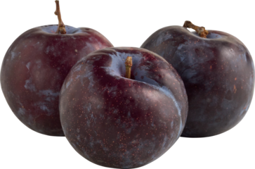  Fresh Black Plum Isolated From Background