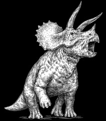 Fototapeta premium Vintage engraving isolated Triceratops set illustration reptile ink sketch. Dinosaur background silhouette Jurassic art. Black and white hand drawn image 