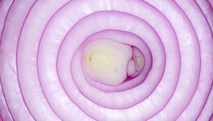 the image shows a close up, top down view of a cut bulbous plant. the bulb features concentric layers that form circular patterns, creating a visually captivating composition
