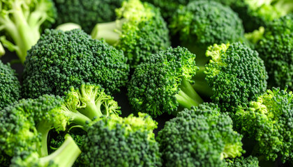 the image shows a close up of several green vegetables, each with a dense, branching head. the vegetables are tightly packed together, creating a textured, vibrant pattern