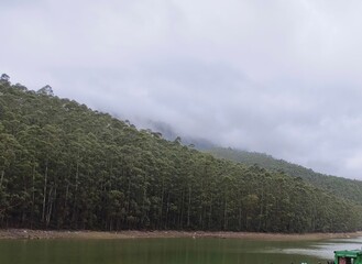 Serene Landscape of a Misty Forest Hill Meeting a Calm Lake Under Cloudy Sky – Tranquil Nature...