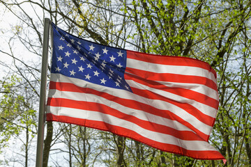 American flag in the forest with spring trees in the background