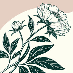 A detailed illustration of a peony flower and bud, featuring intricate leaves and floral details