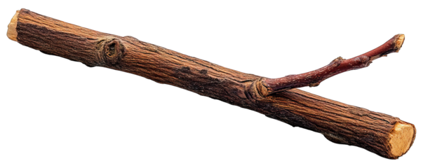 A brown woody branch with a smaller red branch against a black background