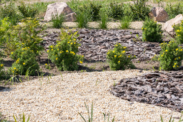 Flower bed with yellow flowers and stones in spring garden. Landscape design.