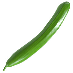 Green cucumber isolated on transparent