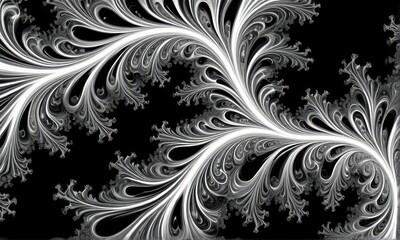Fototapeta premium Intricate White Fractal Swirls on Black Background