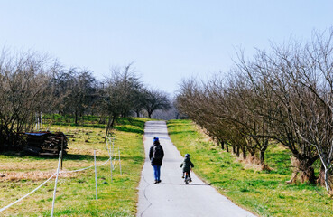 Mother and child walk together along a paved path in the Black Forest vineyards, with the child riding a bike and both surrounded by rows of leafless trees and green grass under a clear sky