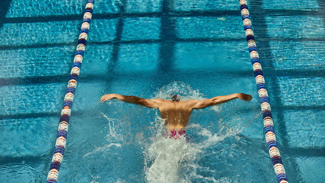 A swimmer performs a butterfly stroke in a competition pool lane, viewed from overhead. Concept of athletic prowess and competitive swimming.
