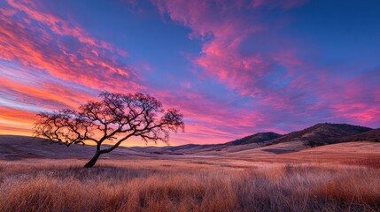 Lone oak tree casting a long shadow in a field beneath glowing red and orange sunset clouds