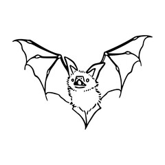 spooky night creature bat vector drawing