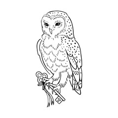 wise owl holding old keys vector