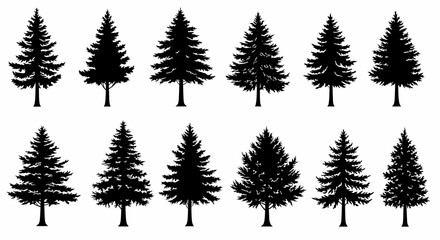Fototapeta premium Collection of Twelve Silhouettes of Evergreen Trees Perfect for Nature Designs, Winter Illustrations, and Holiday Projects