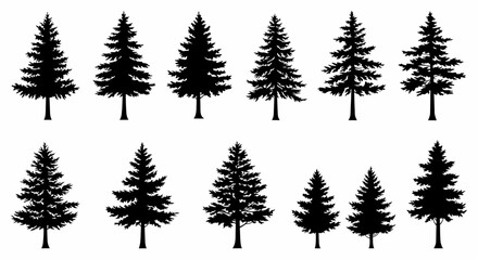 Collection of Twelve Diverse Evergreen Silhouette Tree Illustrations Perfect for Nature Designs, Holiday Decor, and Forest Themed Projects