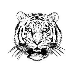 realistic big cat tiger mascot deisgn