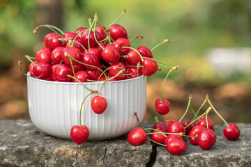 Fresh and tasty red cherries picked from the tree. The fruit of spring in Moldova