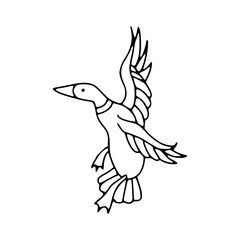 mallard duck in flight line art