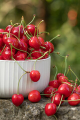 Fresh and tasty red cherries picked from the tree. The fruit of spring in Moldova