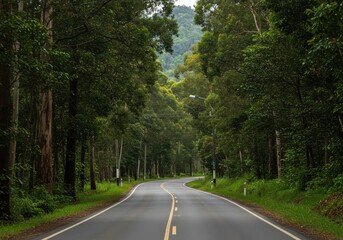 Fototapeta premium A winding road curves through a lush green forest, sunlight dappling through the trees