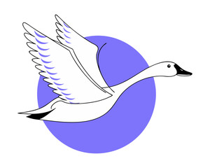 Graceful Flying Mallard: An Elegant Wild Duck Vector Illustration in Flight, Soaring Across a Pure White Background for Wildlife, Outdoor, and Nature-themed Graphics
