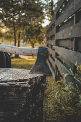 Close-up of a weathered axe embedded in a tree stump, surrounded by grass and rustic outdoor elements, evoking a rural lifestyle atmosphere