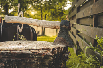 Close-up of a weathered axe embedded in a tree stump, surrounded by grass and rustic outdoor elements, evoking a rural lifestyle atmosphere