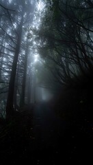 Fototapeta premium Mysterious forest path shrouded in thick fog with sunlight filtering through the trees