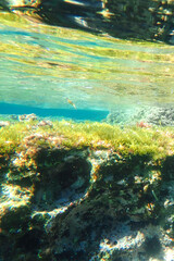 Ocean blue underwater with sunrays, Underwater Sea Deep Water Abstract Sunshine, sea wave , clean waters in summer time, Natural underwater seascape, sand on ocean floor and water surface with sunligh