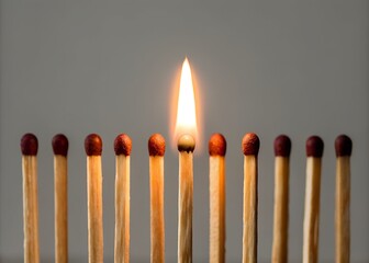 Single lit matchstick amongst unlit ones